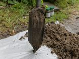 Project- en milieukundige begeleiding